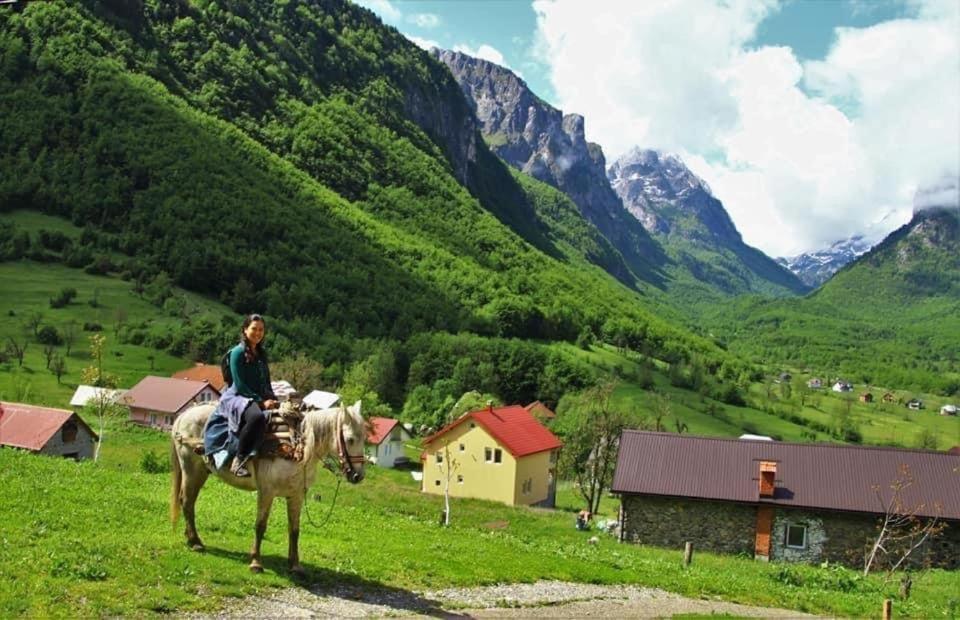 Dedushi Guesthouse &Wood Cabins-Camping Place Gusinje Екстериор снимка